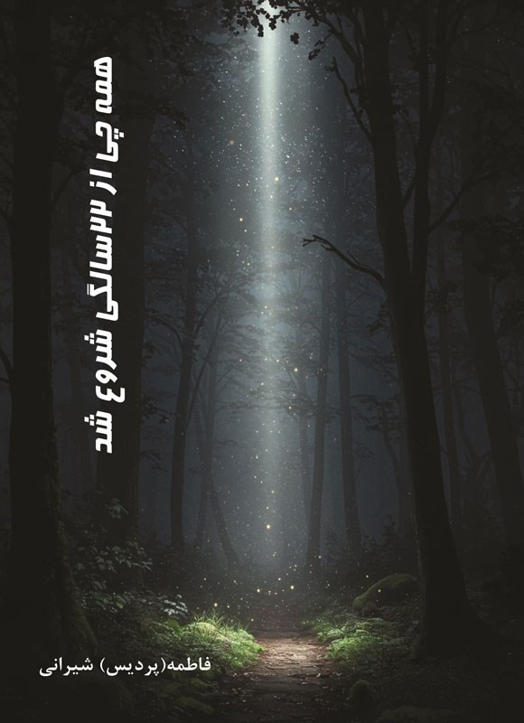 تصویر جلد کتاب همه چی از ۲۲ سالگی شروع شد