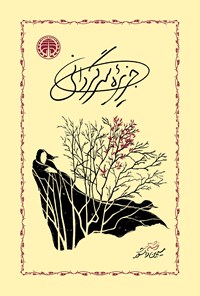 تصویر جلد کتاب جزیره سرگردانی