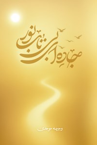 تصویر جلد کتاب جاده ای بی تاب نور