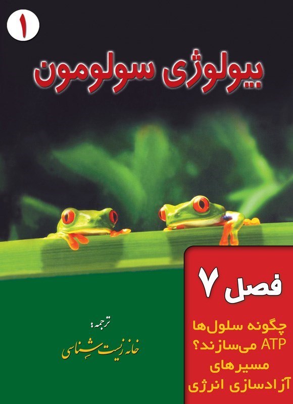 تصویر جلد کتاب بیولوژی سولومون؛ جلد اول (فصل هفتم، چگونه سلول ها ATP می سازند؟ مسیرهای آزادسازی انرژی)