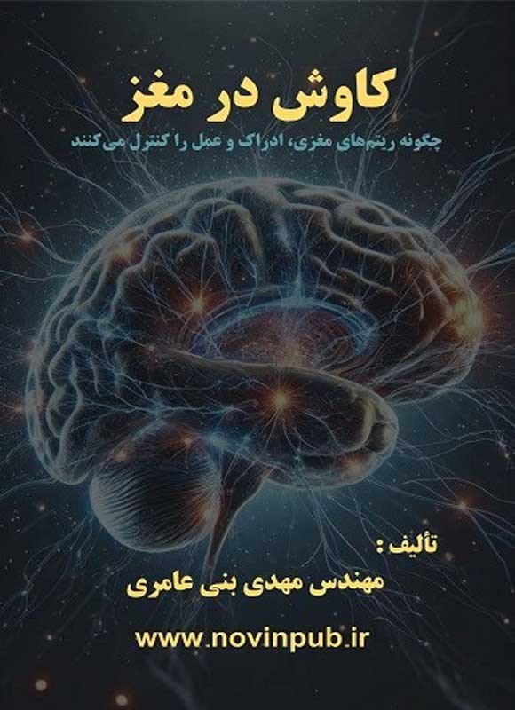 تصویر جلد کتاب کاوش در مغز