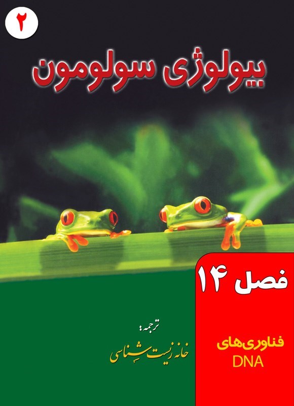 تصویر جلد کتاب بیولوژی سولومون؛ جلد دوم (فصل ۱۴، فناوری DNA)