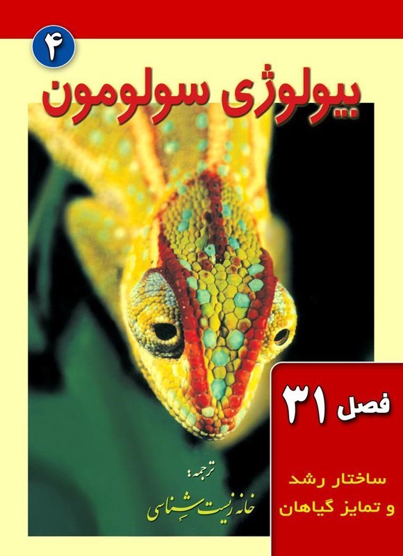 تصویر جلد کتاب بیولوژی سولومون؛ جلد چهارم (فصل ۳۱، ساختار رشد و تمایز گیاهان)