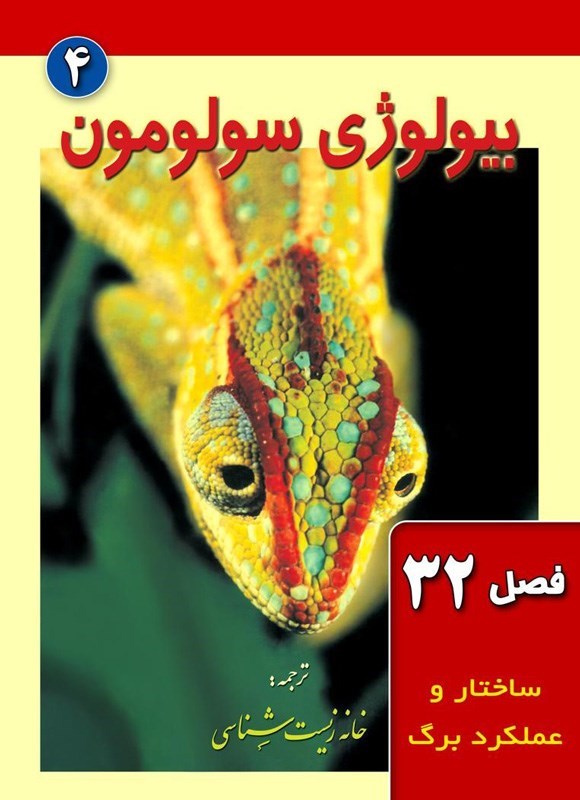 تصویر جلد کتاب بیولوژی سولومون؛ جلد چهارم (فصل ۳۲، ساختار و عملکرد برگ)