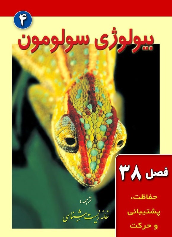 تصویر جلد کتاب بیولوژی سولومون؛ جلد چهارم (فصل ۳۸، حفاظت، پشتیبانی و حرکت)
