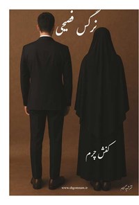 تصویر جلد کتاب کفش چرم