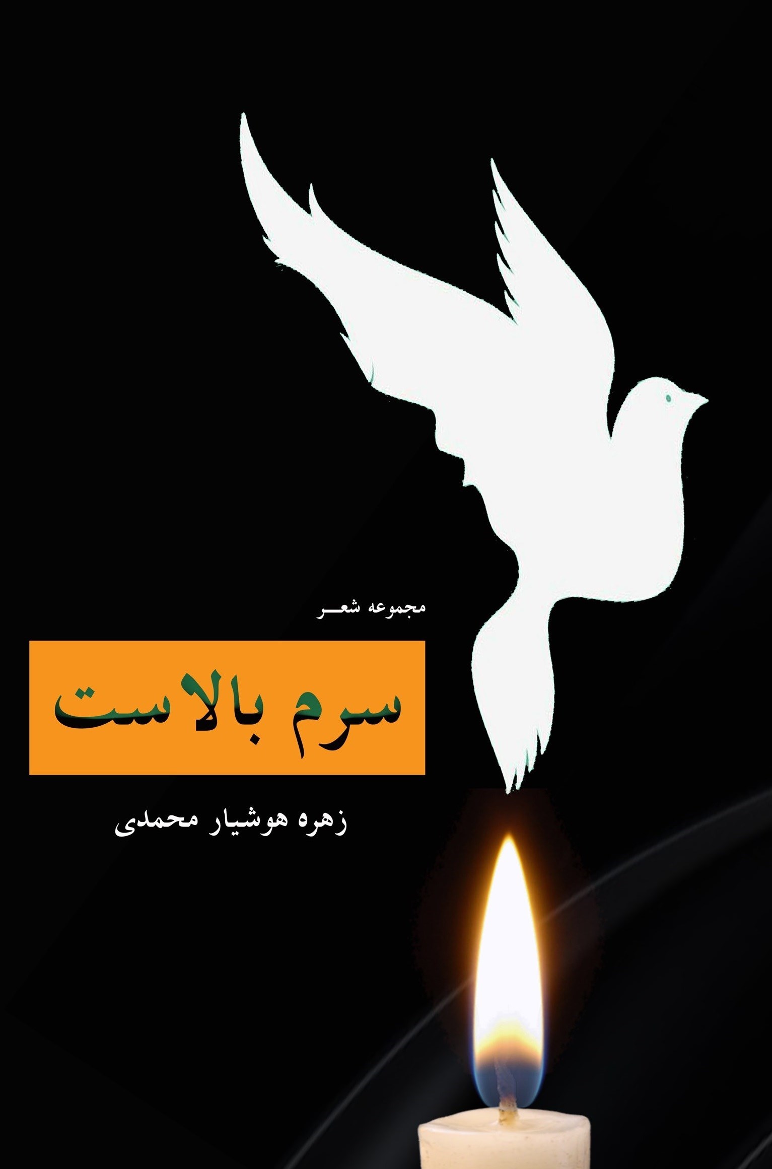 تصویر جلد کتاب سرم بالاست