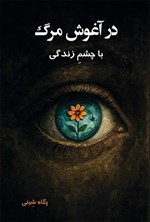 تصویر جلد کتاب در آغوش مرگ با چشم زندگی