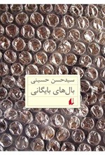 تصویر جلد کتاب بال های بایگانی