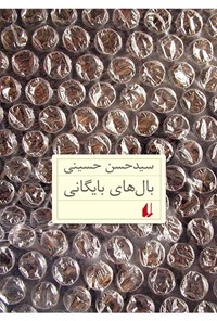 تصویر جلد کتاب بال های بایگانی