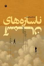 تصویر جلد کتاب ناسازه های آسمان