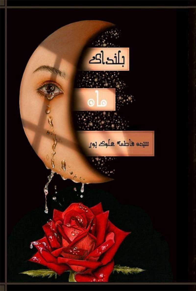 تصویر جلد کتاب بلندای ماه