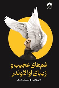 تصویر جلد کتاب غم های عجیب و زیبای اوا لاوندر