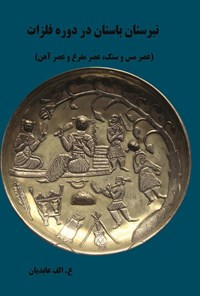 تصویر جلد کتاب تبرستان باستان در دوره فلزات