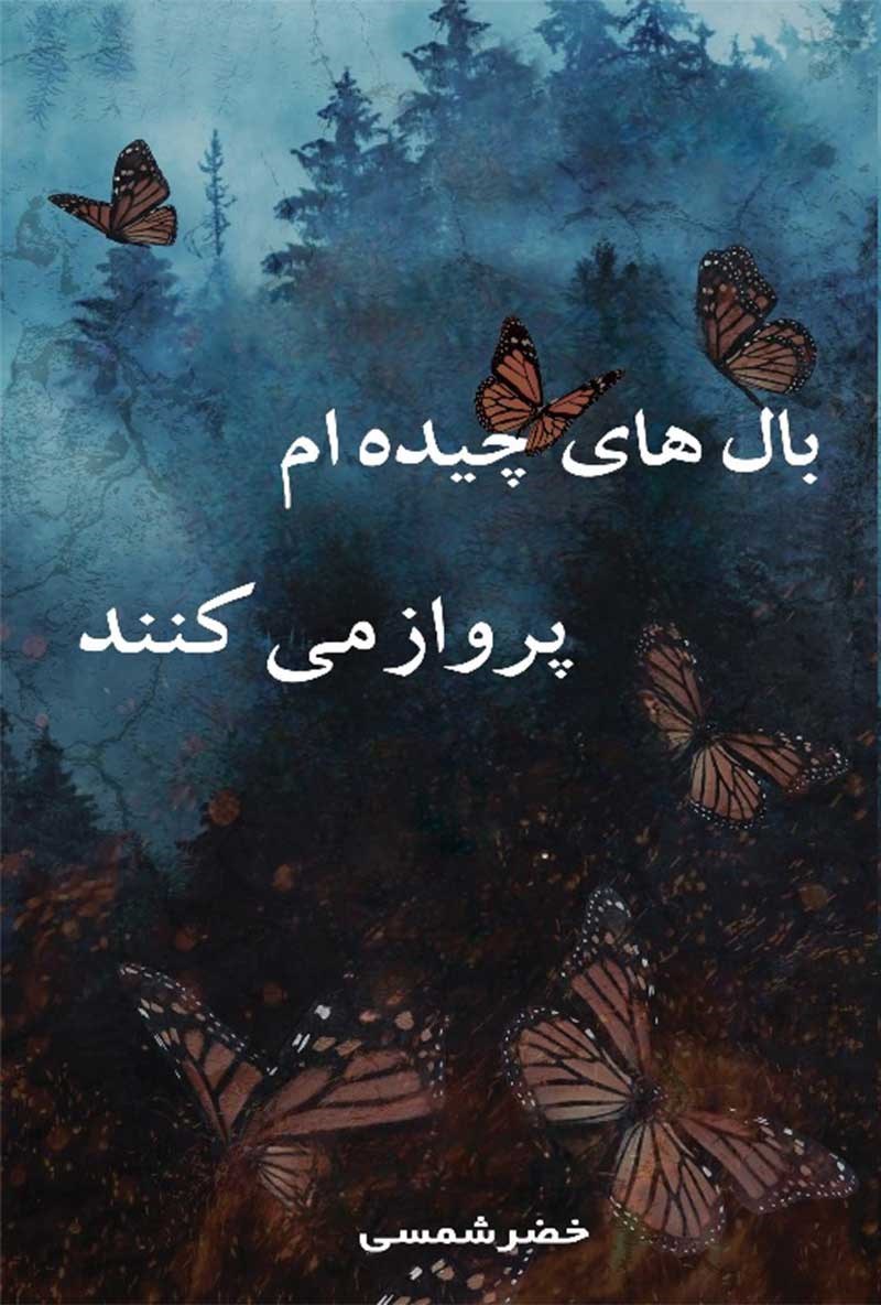 تصویر جلد کتاب بال های چیده ام پرواز می کنند