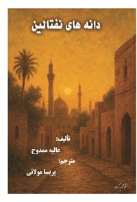 تصویر جلد کتاب دانه های نفتالین