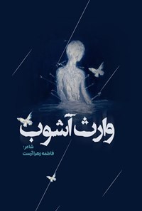 تصویر جلد کتاب وارث آشوب