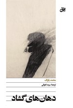 تصویر جلد کتاب دهان های گشاد