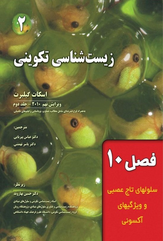 تصویر جلد کتاب زیست شناسی تکوینی گیلبرت؛ جلد دوم (فصل دهم، سلولهای تاج عصبی و ویژگیهای آکسونی)