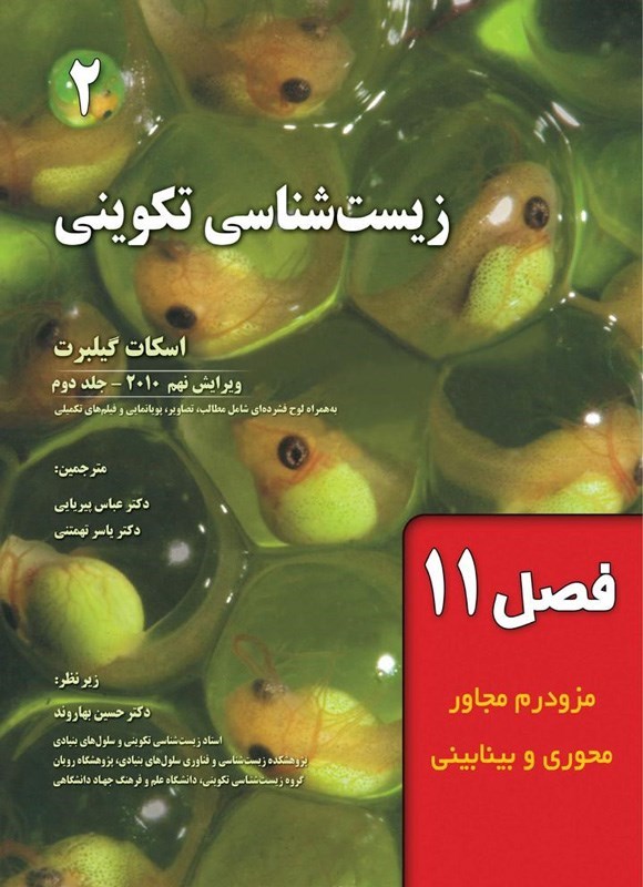 تصویر جلد کتاب زیست شناسی تکوینی گیلبرت؛ جلد دوم (فصل یازدهم، مزودرم مجاور محوری و بینابینی)