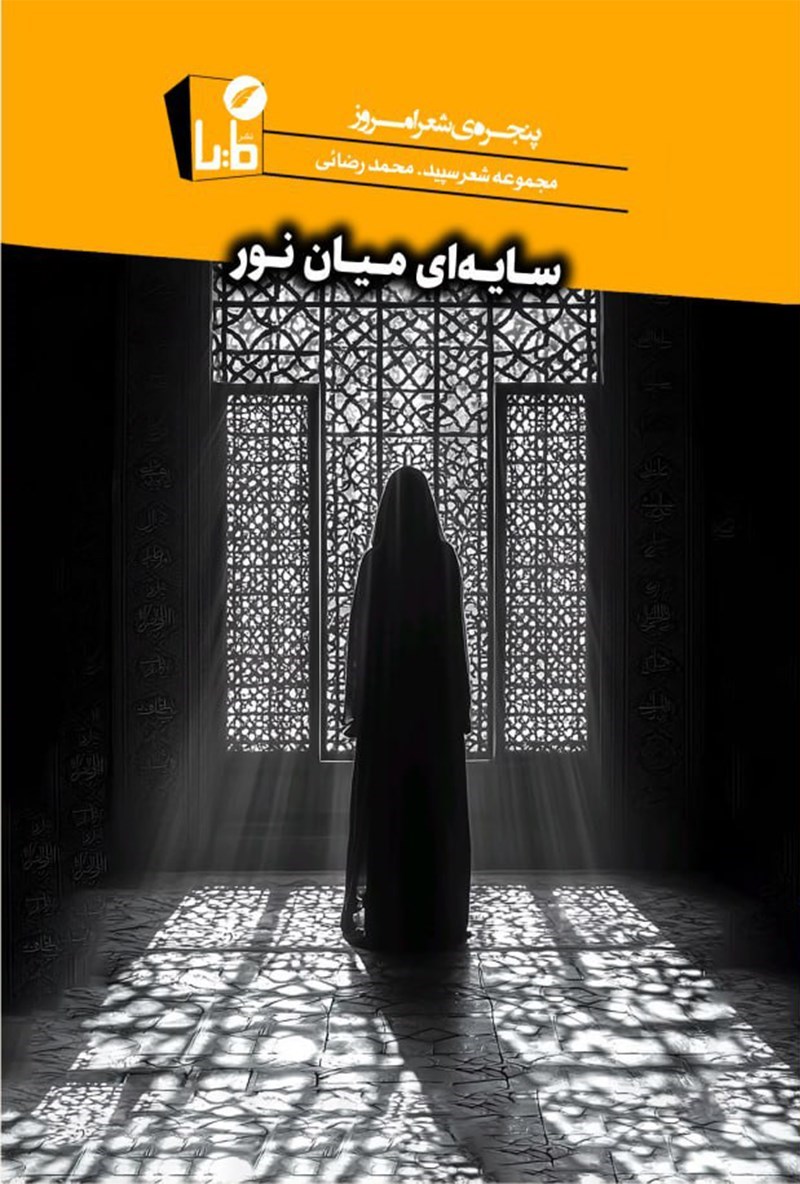 تصویر جلد کتاب سایه ای میان نور