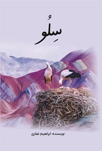 تصویر جلد کتاب سلو