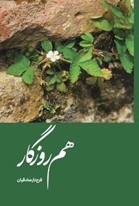 تصویر جلد کتاب هم روزگار