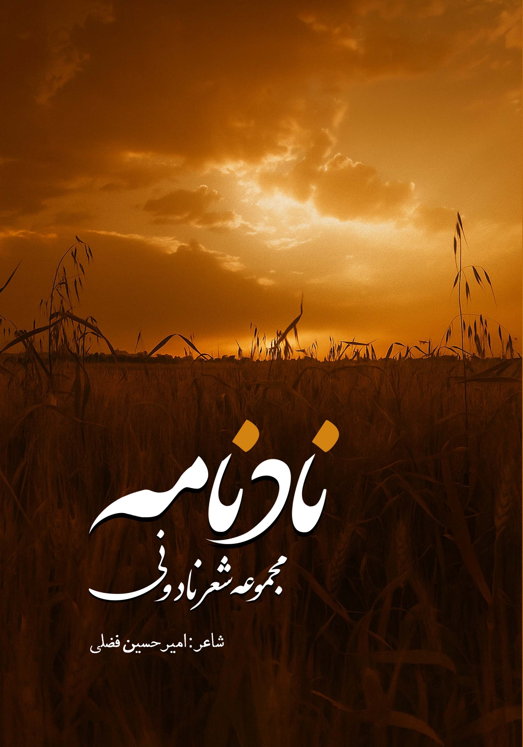 تصویر جلد کتاب نادنامه