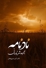 تصویر جلد کتاب نادنامه