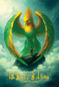 تصویر جلد کتاب بیداری زامبی ها!