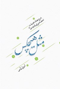 تصویر جلد کتاب مثل هیچکس