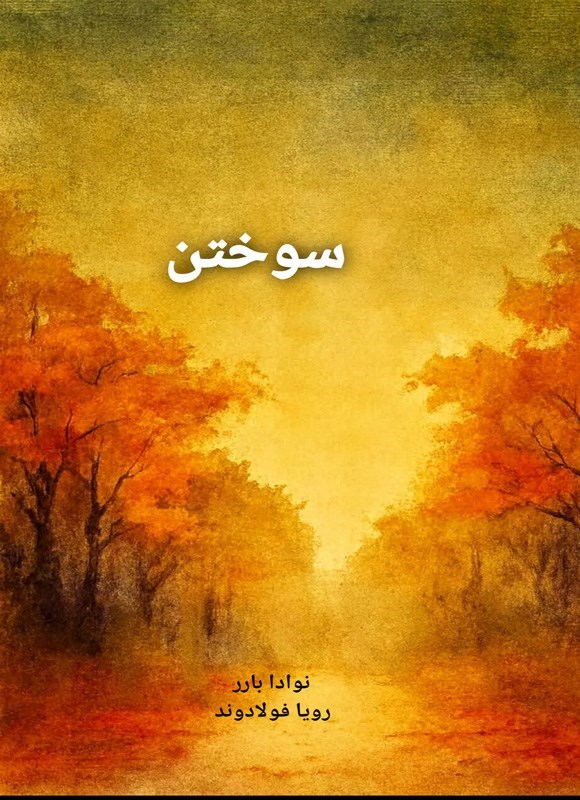 تصویر جلد کتاب سوختن