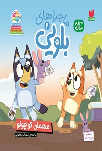تصویر جلد کتاب ماجراهای بلویی (جلد دوم، مهمان کوچولو)
