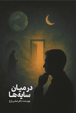 تصویر جلد کتاب در میان سایه ها