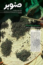 تصویر جلد کتاب فصلنامه صنوبر ـ شماره ۳۰ و ۳۱ ـ پاییز و زمستان ۱۴۰۴