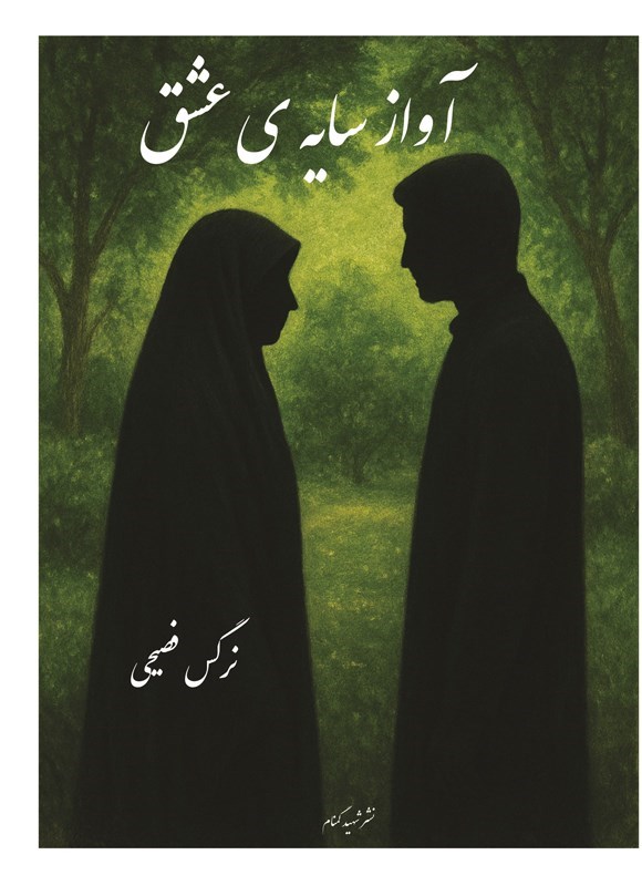 تصویر جلد کتاب آواز سایه عشق