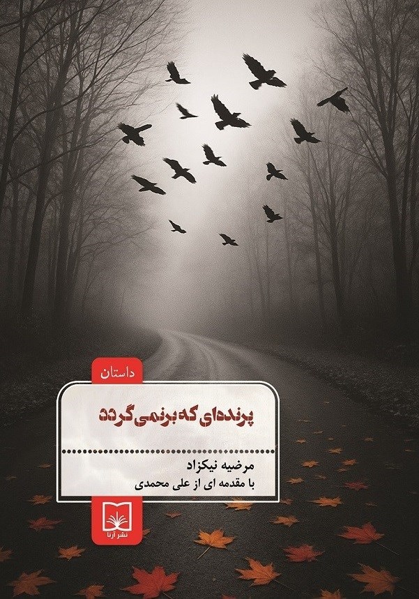 تصویر جلد کتاب پرنده ای که برنمی گردد