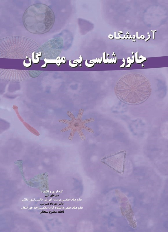 تصویر جلد کتاب از بختیاری تا بیدآباد