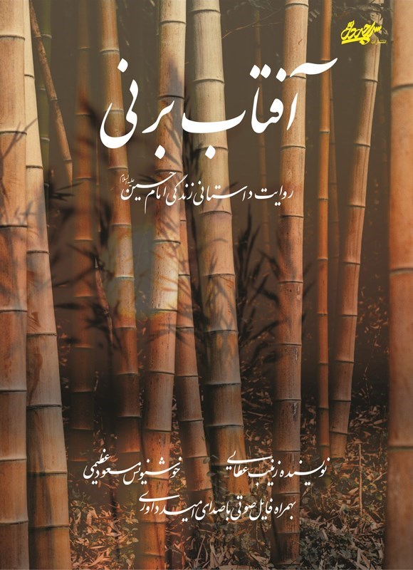 تصویر جلد کتاب آفتاب بر نی