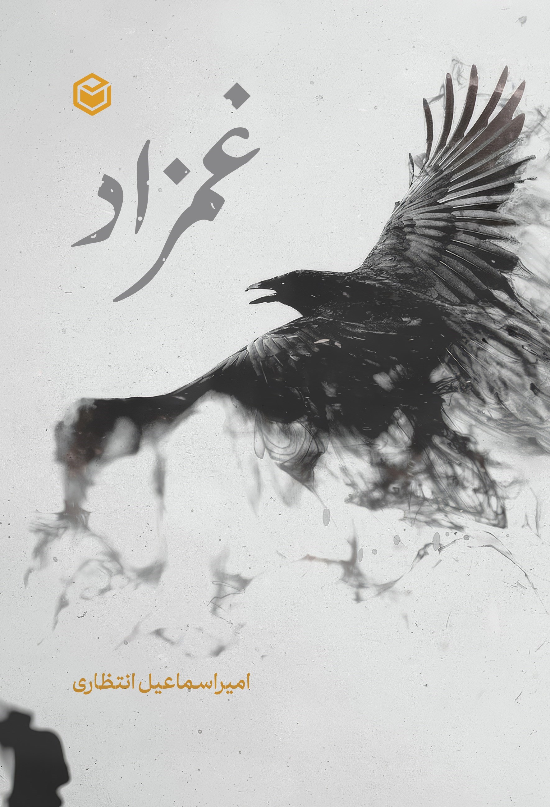 تصویر جلد کتاب غمزاد