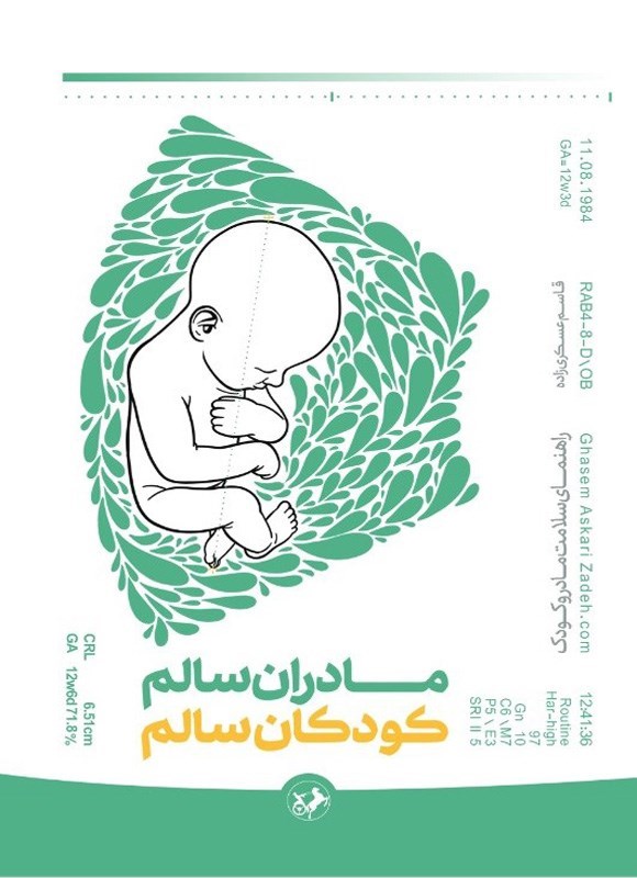 تصویر جلد کتاب مادران سالم؛ کودکان سالم