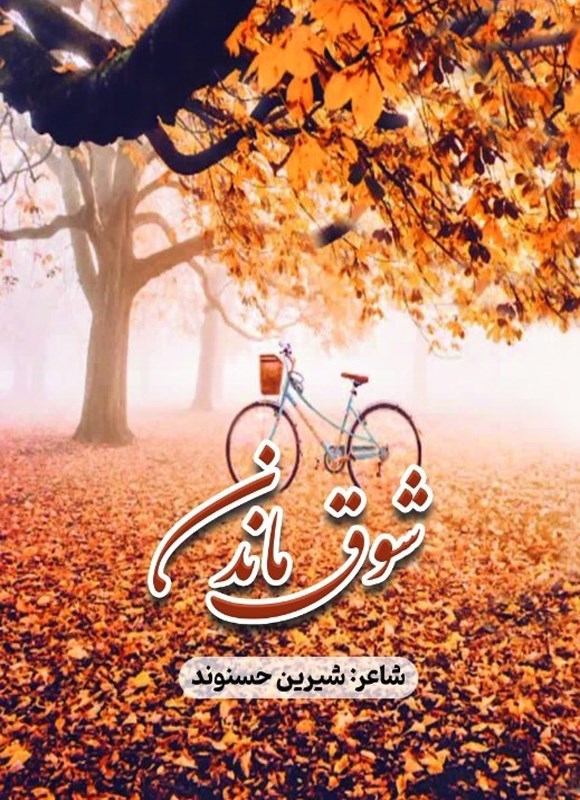 تصویر جلد کتاب شوق ماندن