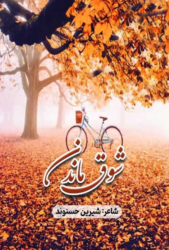 تصویر جلد کتاب شوق ماندن