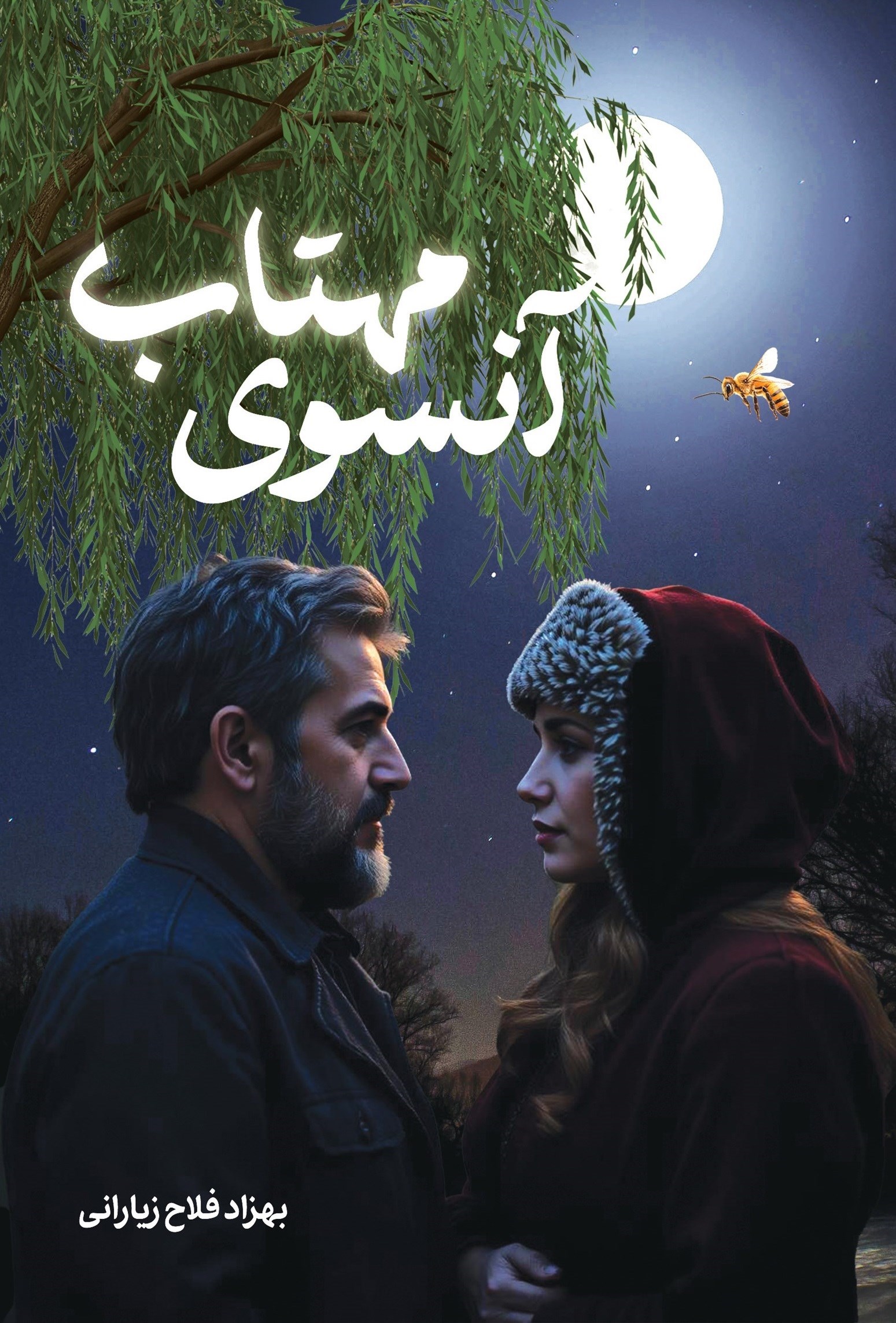 تصویر جلد کتاب آنسوی مهتاب
