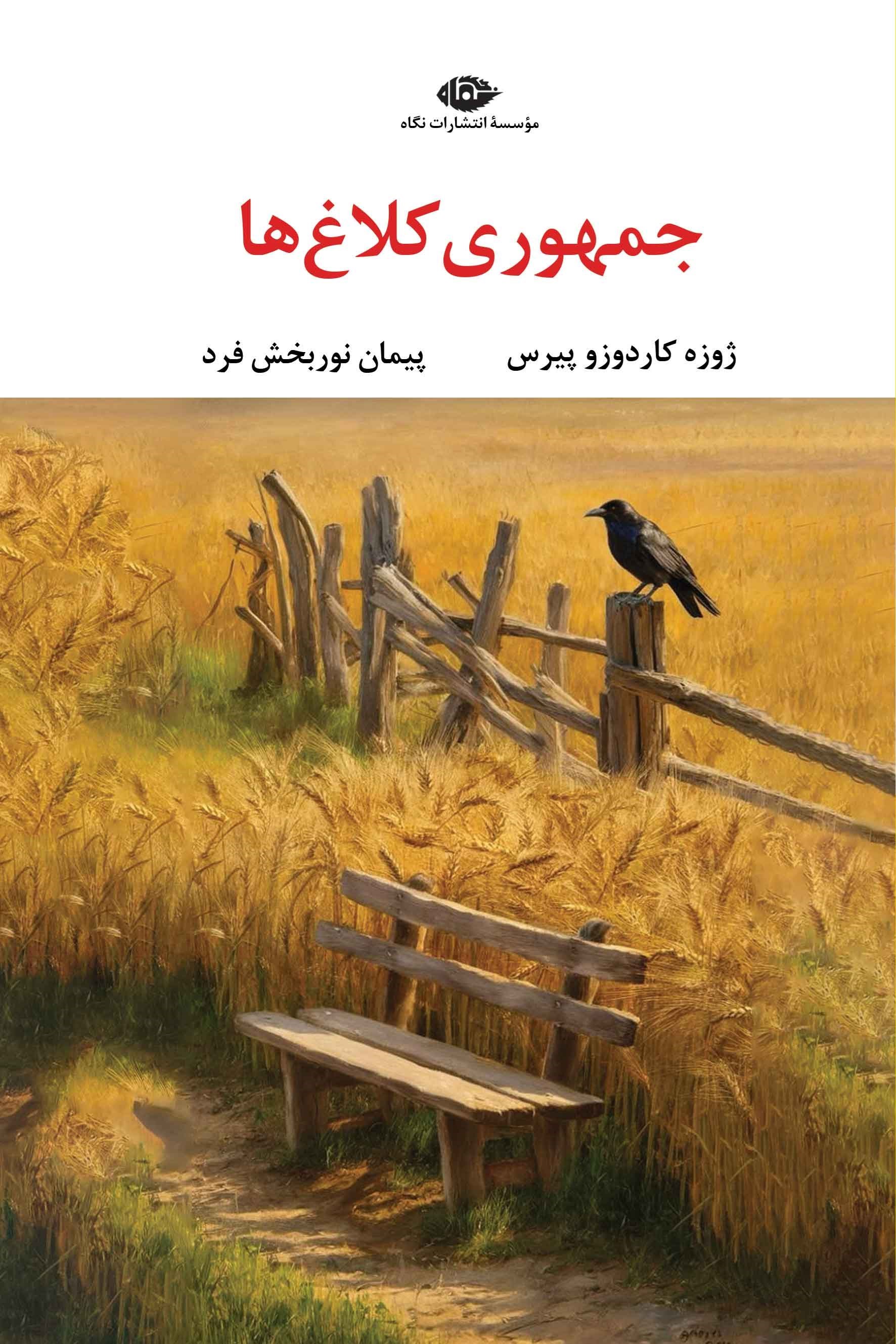 تصویر جلد کتاب جمهوری کلاغ ها