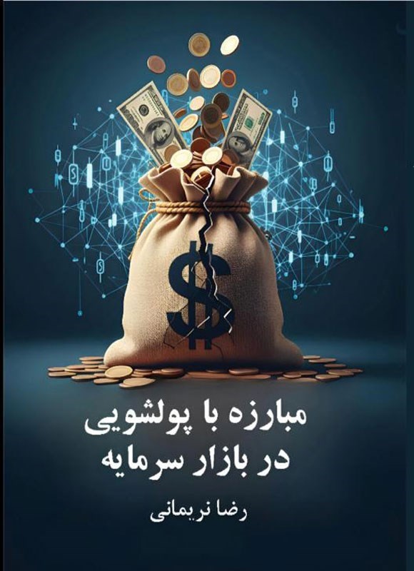 تصویر جلد کتاب مبارزه با پولشویی در بازار سرمایه