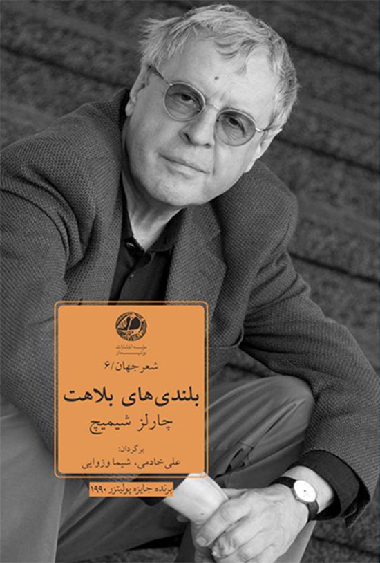 تصویر جلد کتاب بلندیهای بلاهت