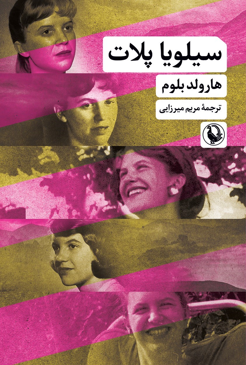 تصویر جلد کتاب سیلویا پلات