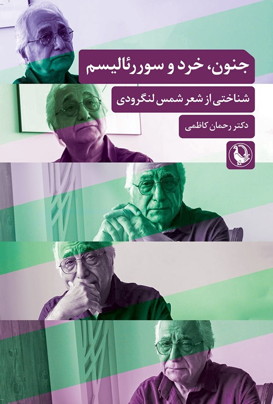 تصویر جلد کتاب جنون، خرد و سورئالیسم