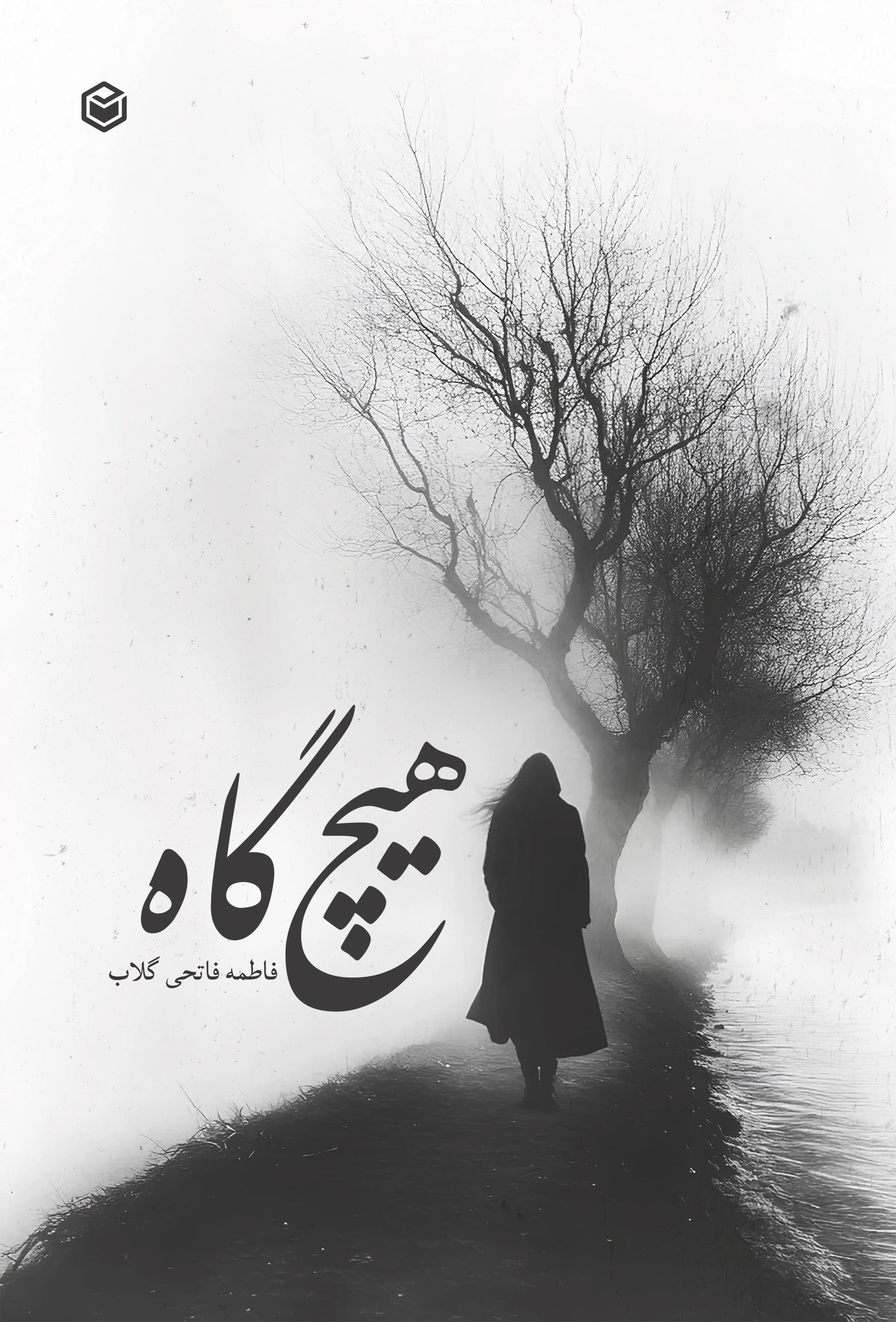 تصویر جلد کتاب هیچ گاه
